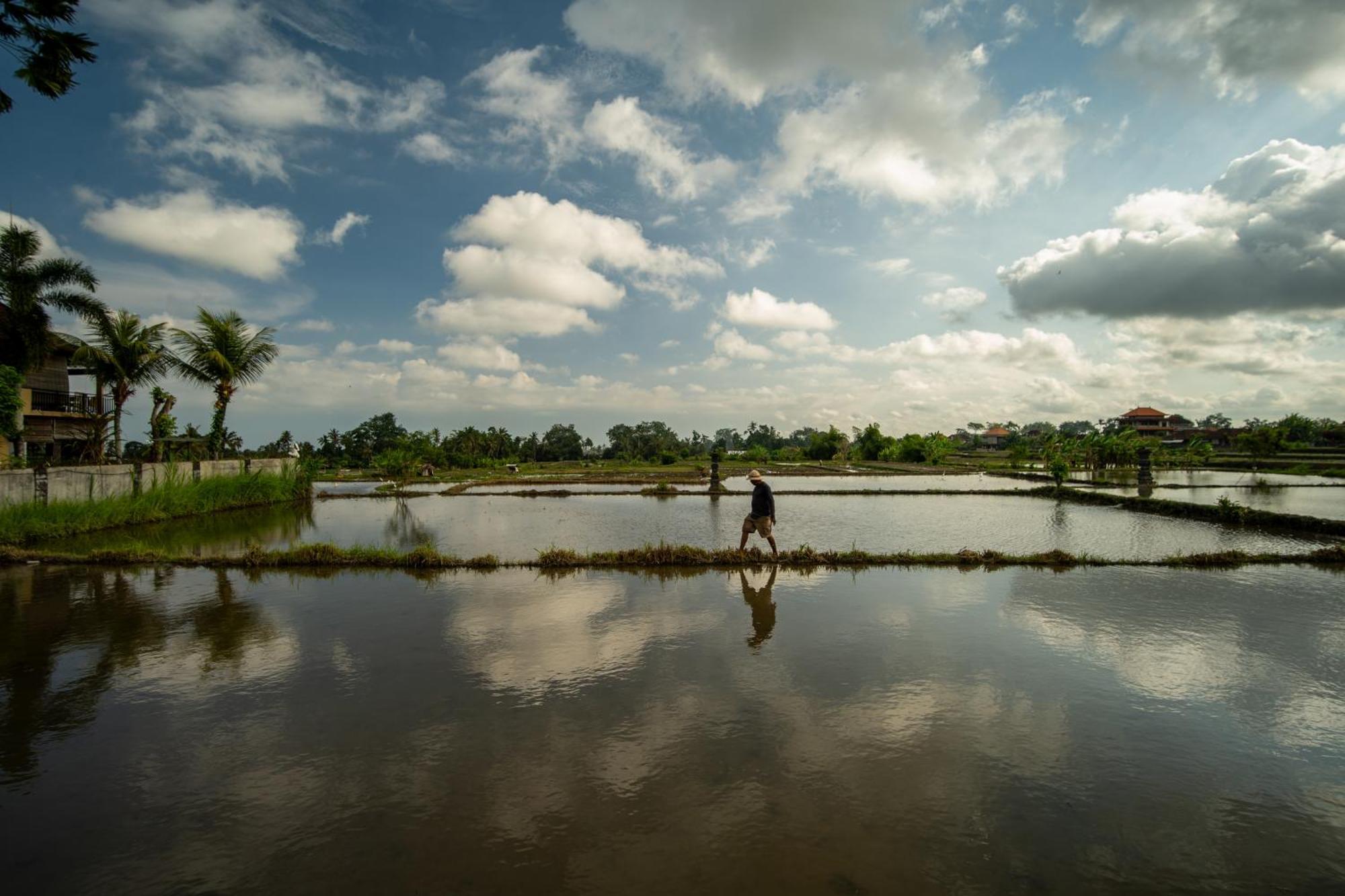 Kubu Sari Ubud Esterno foto
